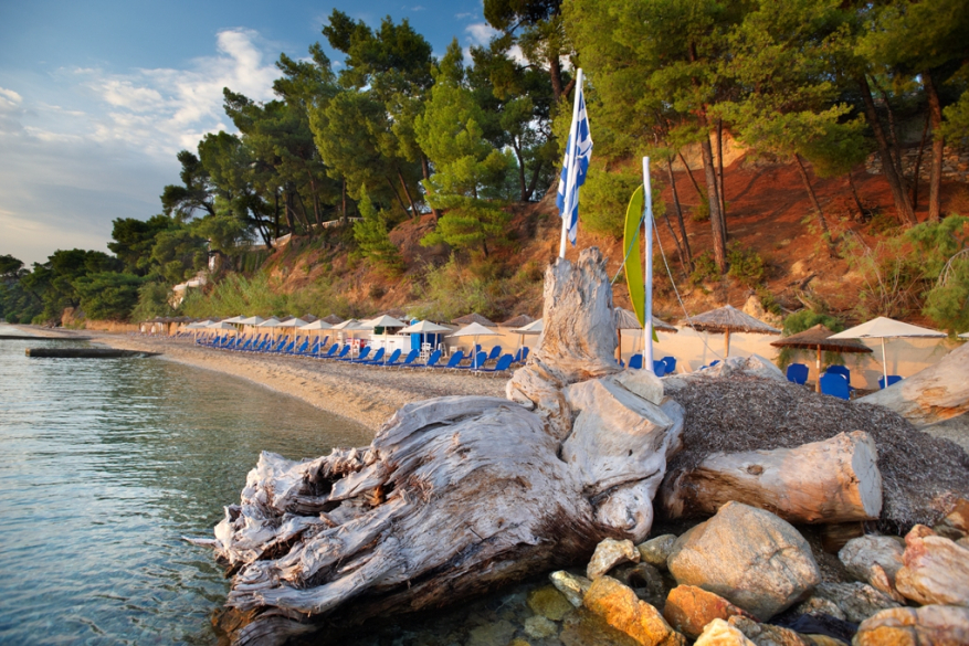 Elia Beach